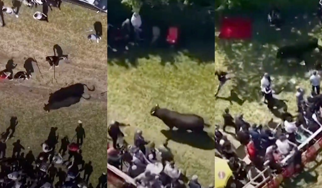 na koridi koja se u nedjelju odvijala u bijelom polju kod kaknja bikovi probili ogradu i uletili u publiku srecom nije bilo povrijedjenih